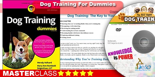 Dog Training For Dummies