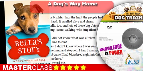 MA Dog's Way Home - The Heartwarming Story of the Special Bond Between Man and Dog