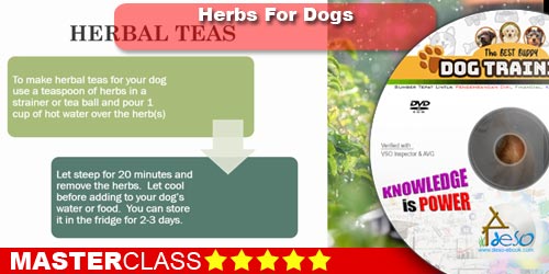 Herbs For Dogs