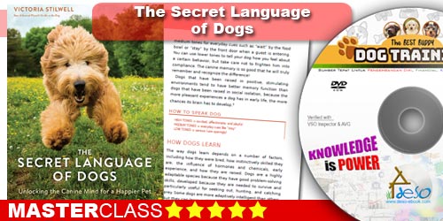The Secret Language of Dogs