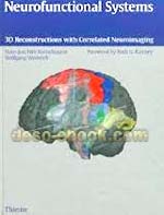 Neuroanatomy